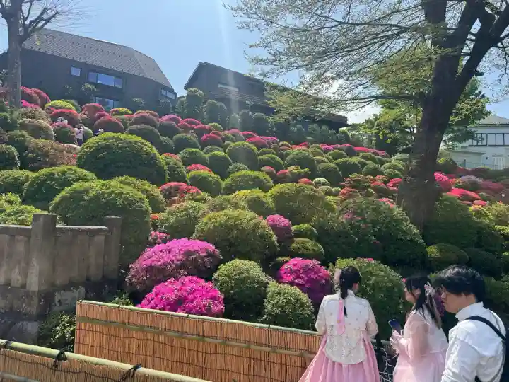 根津神社の{uncategorized: "未分類", other: "その他", undefined: "問題あり", building: "その他建物", grave: "お墓", sacred_gate: "鳥居", guardian: "狛犬", statue: "像", buddha: "仏像", history: "歴史", nature: "自然", garden: "庭園", animal: "動物", pagoda: "塔", temizu: "手水舎", mountain_gate: "山門・神門", sanctuary: "本殿・本堂", subordinate: "末社・摂社", art: "芸術", scenery: "景色", jizo: "地蔵", ema: "絵馬", goshuin: "御朱印", omikuji: "おみくじ", items: "授与品その他", amulet: "お守り", goshuincho: "御朱印帳", eats: "食事", festival: "お祭り", votive_dance: "神楽", shichigosan: "七五三参", wedding: "結婚式", experience: "体験その他", initially: "初詣", around: "周辺", anti_infection: "感染症対策"}