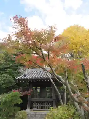浄光明寺(神奈川県)