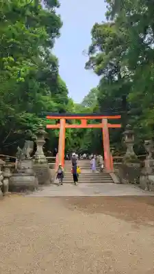 春日大社の{uncategorized: "未分類", other: "その他", undefined: "問題あり", building: "その他建物", grave: "お墓", sacred_gate: "鳥居", guardian: "狛犬", statue: "像", buddha: "仏像", history: "歴史", nature: "自然", garden: "庭園", animal: "動物", pagoda: "塔", temizu: "手水舎", mountain_gate: "山門・神門", sanctuary: "本殿・本堂", subordinate: "末社・摂社", art: "芸術", scenery: "景色", jizo: "地蔵", ema: "絵馬", goshuin: "御朱印", omikuji: "おみくじ", items: "授与品その他", amulet: "お守り", goshuincho: "御朱印帳", eats: "食事", festival: "お祭り", votive_dance: "神楽", shichigosan: "七五三参", wedding: "結婚式", experience: "体験その他", initially: "初詣", around: "周辺", anti_infection: "感染症対策"}