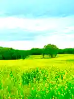 薬莱神社(宮城県)