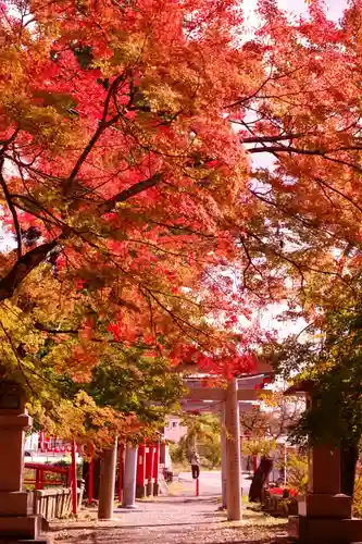 鼻顔稲荷神社(長野県)
