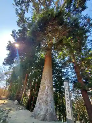 三春大神宮(福島県)