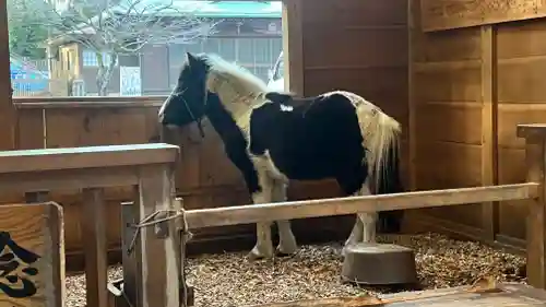 平塚八幡宮(神奈川県)