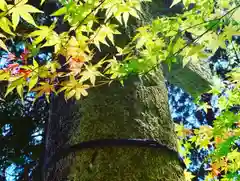 滑川神社 - 仕事と子どもの守り神の自然