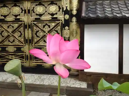 建長寺(神奈川県)