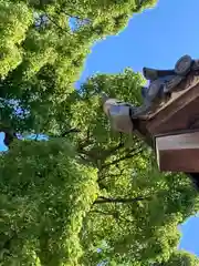 丹生神社(兵庫県)