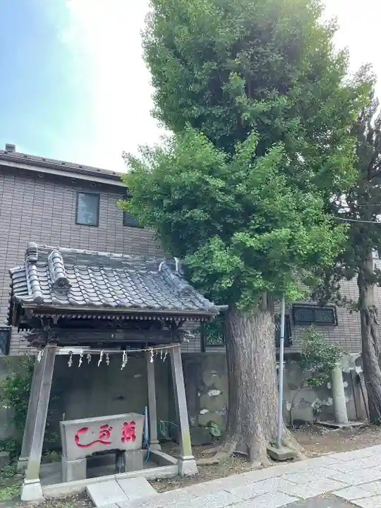 蛭子神社の手水舎
