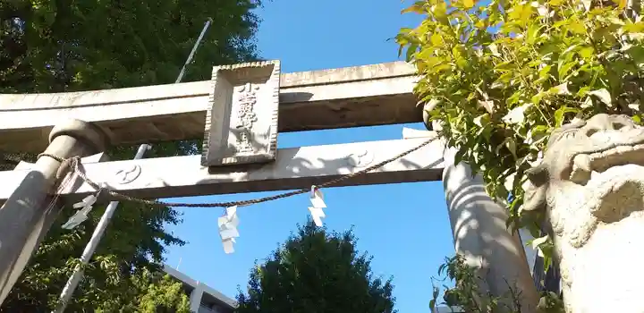 小野照崎神社の鳥居