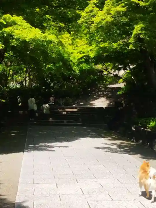 勝尾寺(大阪府)