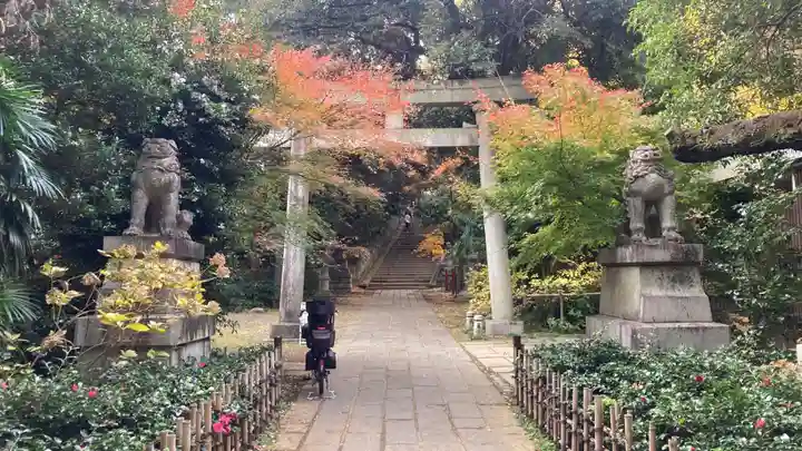 赤坂氷川神社(東京都)