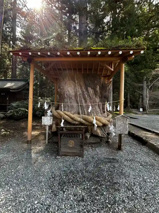 小國神社の{uncategorized: "未分類", other: "その他", undefined: "問題あり", building: "その他建物", grave: "お墓", sacred_gate: "鳥居", guardian: "狛犬", statue: "像", buddha: "仏像", history: "歴史", nature: "自然", garden: "庭園", animal: "動物", pagoda: "塔", temizu: "手水舎", mountain_gate: "山門・神門", sanctuary: "本殿・本堂", subordinate: "末社・摂社", art: "芸術", scenery: "景色", jizo: "地蔵", ema: "絵馬", goshuin: "御朱印", omikuji: "おみくじ", items: "授与品その他", amulet: "お守り", goshuincho: "御朱印帳", eats: "食事", festival: "お祭り", votive_dance: "神楽", shichigosan: "七五三参", wedding: "結婚式", experience: "体験その他", initially: "初詣", around: "周辺", anti_infection: "感染症対策"}