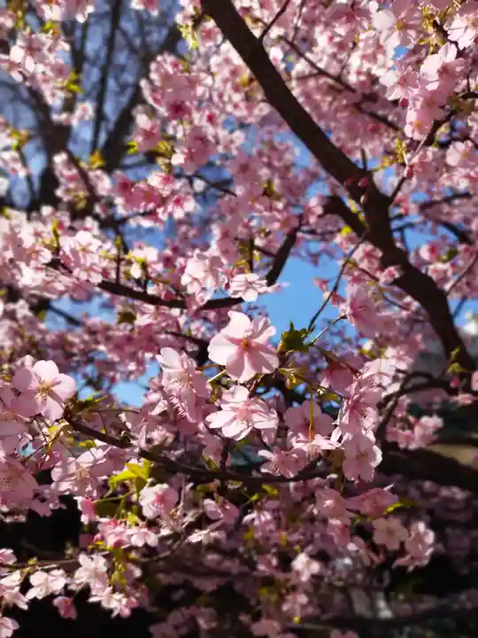 小野照崎神社(東京都)