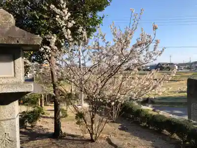 矢川神社の自然