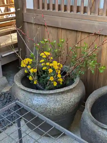 西教寺(東京都)