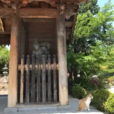 久米寺の像