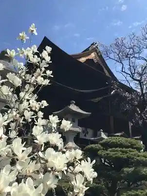 善光寺(長野県)
