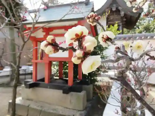 菅原天満宮（菅原神社）の自然