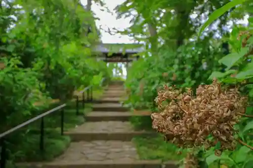 資福禅寺の自然