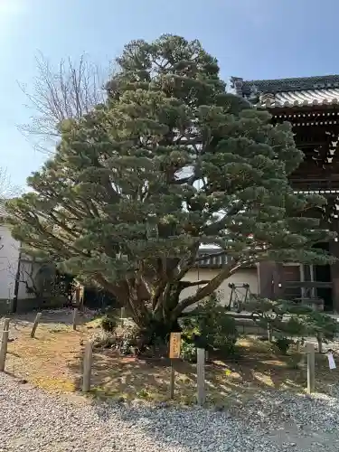 梅宮大社の{uncategorized: "未分類", other: "その他", undefined: "問題あり", building: "その他建物", grave: "お墓", sacred_gate: "鳥居", guardian: "狛犬", statue: "像", buddha: "仏像", history: "歴史", nature: "自然", garden: "庭園", animal: "動物", pagoda: "塔", temizu: "手水舎", mountain_gate: "山門・神門", sanctuary: "本殿・本堂", subordinate: "末社・摂社", art: "芸術", scenery: "景色", jizo: "地蔵", ema: "絵馬", goshuin: "御朱印", omikuji: "おみくじ", items: "授与品その他", amulet: "お守り", goshuincho: "御朱印帳", eats: "食事", festival: "お祭り", votive_dance: "神楽", shichigosan: "七五三参", wedding: "結婚式", experience: "体験その他", initially: "初詣", around: "周辺", anti_infection: "感染症対策"}