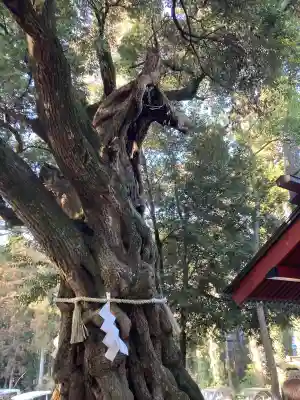 大杉神社 境内社 勝馬神社の{uncategorized: "未分類", other: "その他", undefined: "問題あり", building: "その他建物", grave: "お墓", sacred_gate: "鳥居", guardian: "狛犬", statue: "像", buddha: "仏像", history: "歴史", nature: "自然", garden: "庭園", animal: "動物", pagoda: "塔", temizu: "手水舎", mountain_gate: "山門・神門", sanctuary: "本殿・本堂", subordinate: "末社・摂社", art: "芸術", scenery: "景色", jizo: "地蔵", ema: "絵馬", goshuin: "御朱印", omikuji: "おみくじ", items: "授与品その他", amulet: "お守り", goshuincho: "御朱印帳", eats: "食事", festival: "お祭り", votive_dance: "神楽", shichigosan: "七五三参", wedding: "結婚式", experience: "体験その他", initially: "初詣", around: "周辺", anti_infection: "感染症対策"}