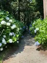 磯山神社(栃木県)