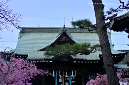 桜神宮(東京都)