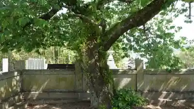 国分寺(愛媛県)