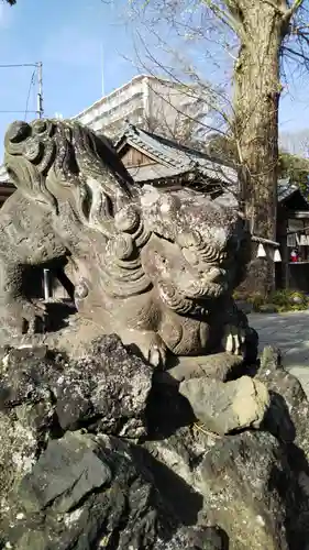 菊田神社の狛犬