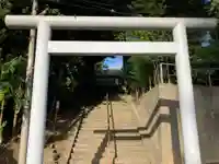 所澤神明社(埼玉県)