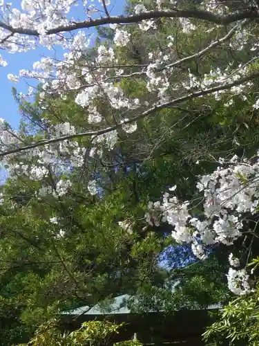 浄光明寺の自然