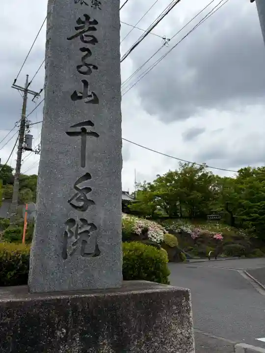 千手院の{uncategorized: "未分類", other: "その他", undefined: "問題あり", building: "その他建物", grave: "お墓", sacred_gate: "鳥居", guardian: "狛犬", statue: "像", buddha: "仏像", history: "歴史", nature: "自然", garden: "庭園", animal: "動物", pagoda: "塔", temizu: "手水舎", mountain_gate: "山門・神門", sanctuary: "本殿・本堂", subordinate: "末社・摂社", art: "芸術", scenery: "景色", jizo: "地蔵", ema: "絵馬", goshuin: "御朱印", omikuji: "おみくじ", items: "授与品その他", amulet: "お守り", goshuincho: "御朱印帳", eats: "食事", festival: "お祭り", votive_dance: "神楽", shichigosan: "七五三参", wedding: "結婚式", experience: "体験その他", initially: "初詣", around: "周辺", anti_infection: "感染症対策"}