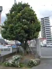 錫杖寺(埼玉県)