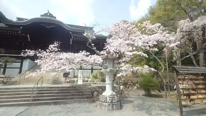 近江神宮(滋賀県)