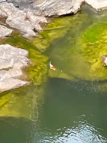 鏑射寺(兵庫県)