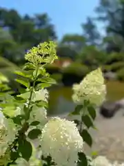 山神社の自然