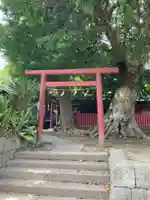 正一位稲荷大明神(築山稲荷社)(神奈川県)