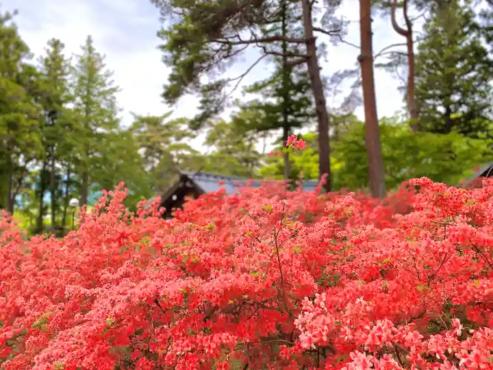皇大神社(真田御屋敷跡)の自然