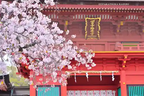 富士山本宮浅間大社(静岡県)