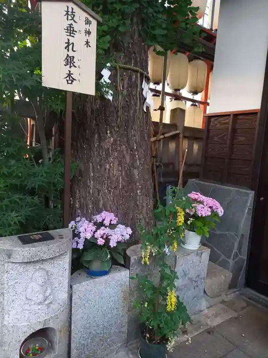 波除神社(波除稲荷神社)(東京都)
