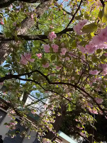 七社神社(東京都)