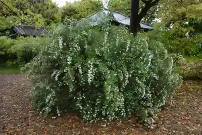 海龍王寺(奈良県)