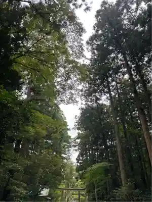 彌彦神社(新潟県)