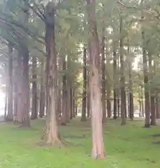 香取神社(東京都)