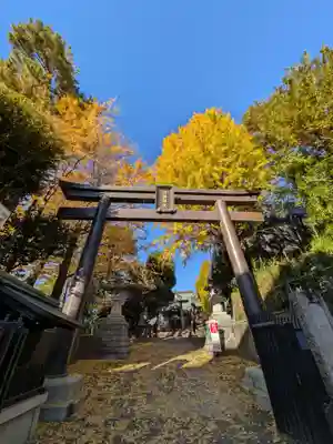 諏訪神社(東京都)