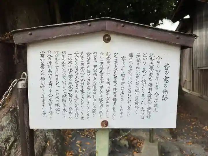 熊野神社(東京都)
