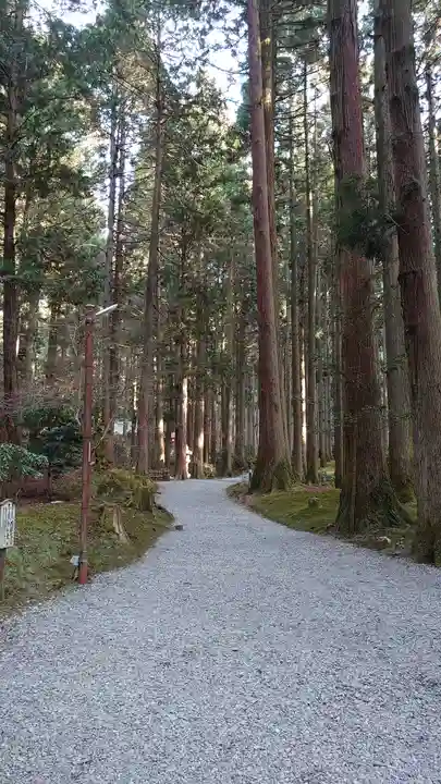 御岩神社の自然