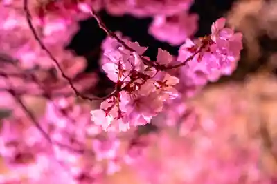 新城藤原神社(長野県)