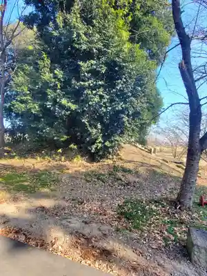 玉取神社(群馬県)