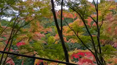 善峯寺(京都府)