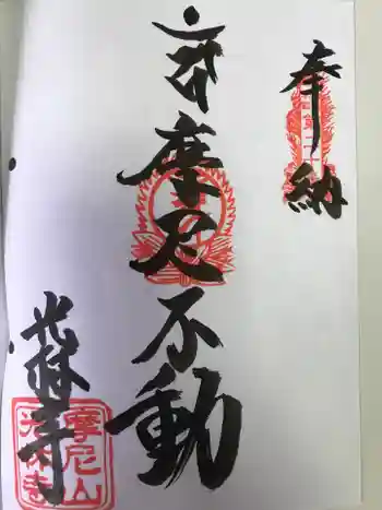 光林寺の御朱印 2023年08月